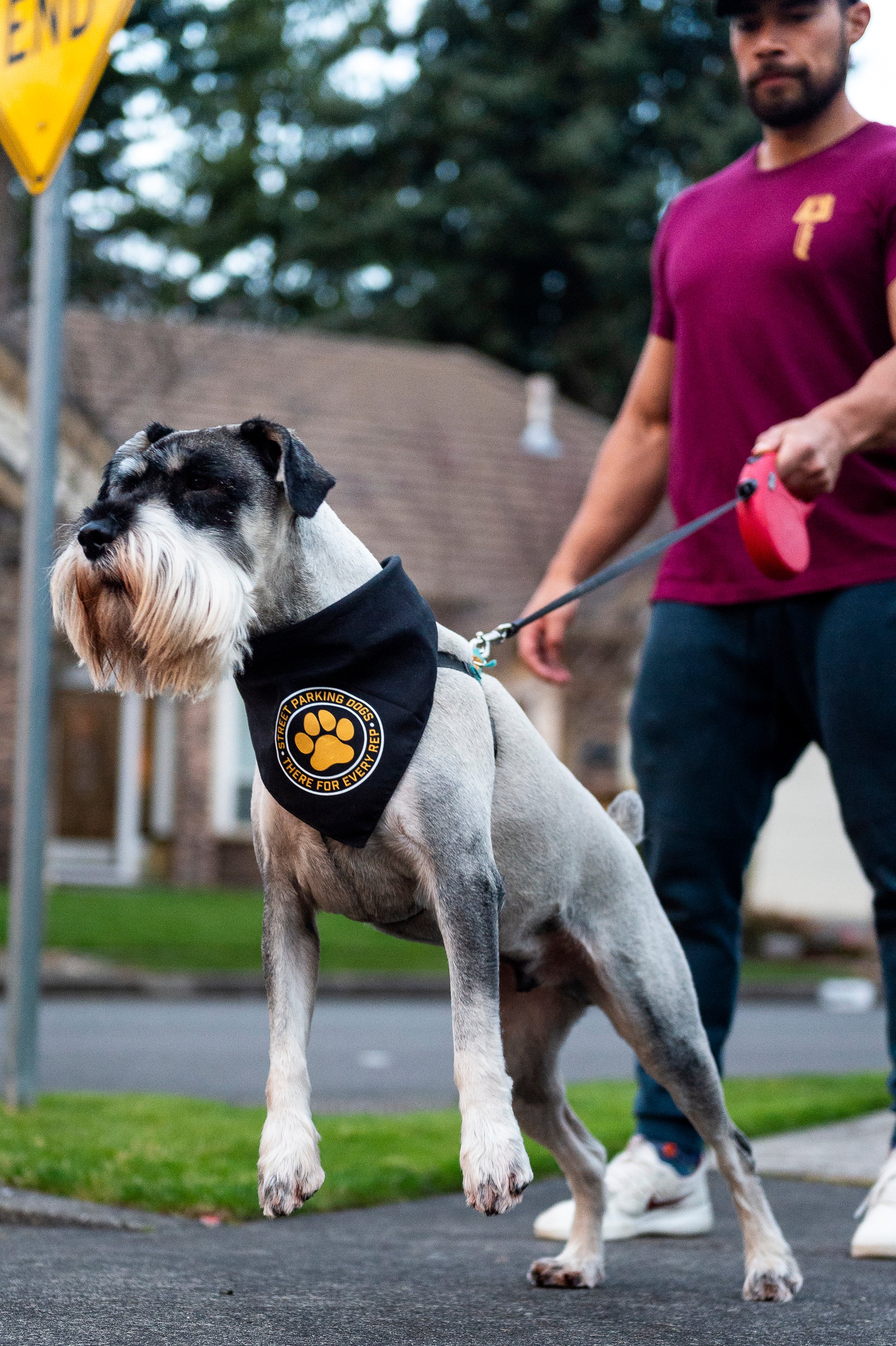 Street Parking Dog Bandana - Image 3
